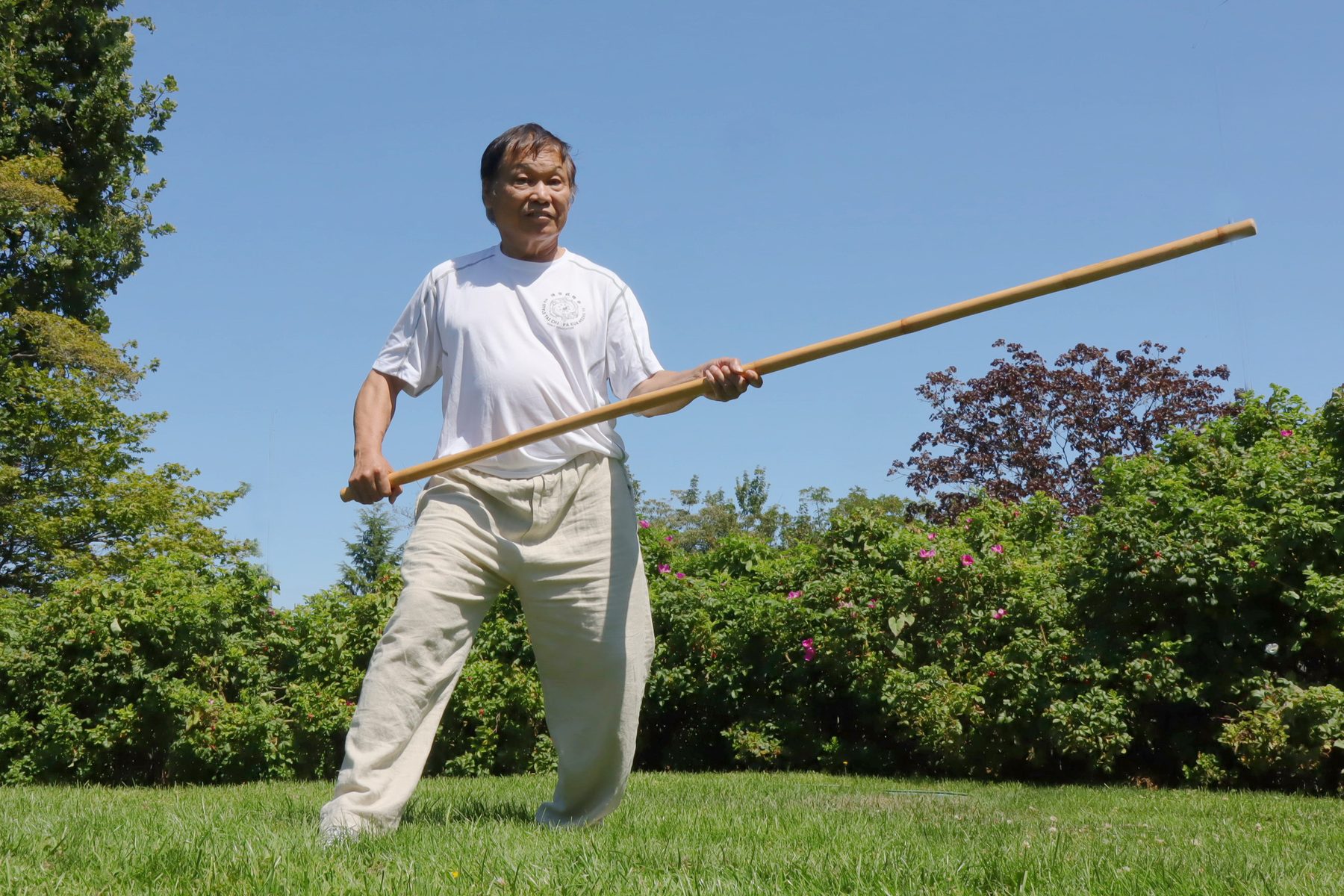 Pa kua Staff