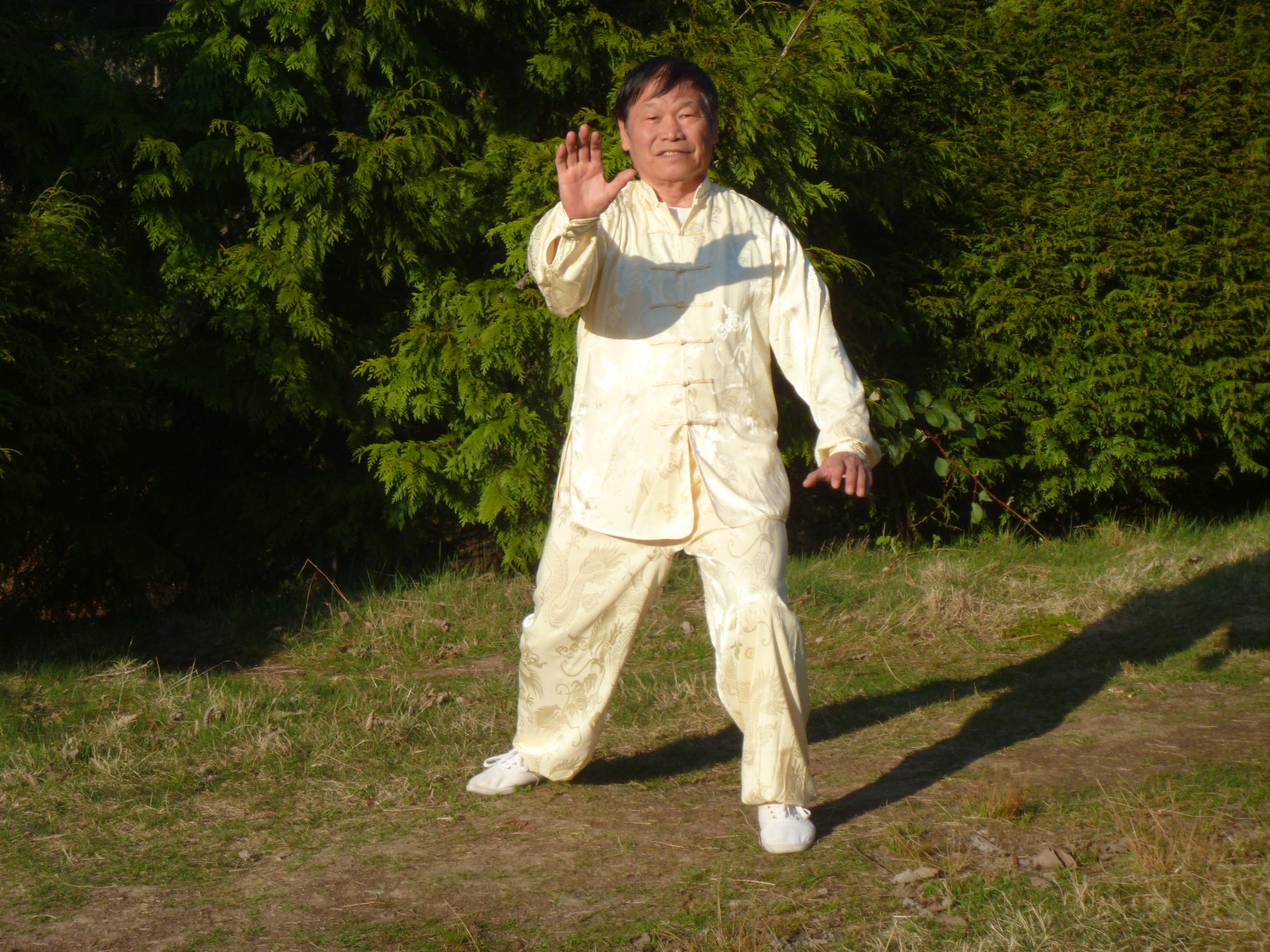 Tai chi Lightning Palm