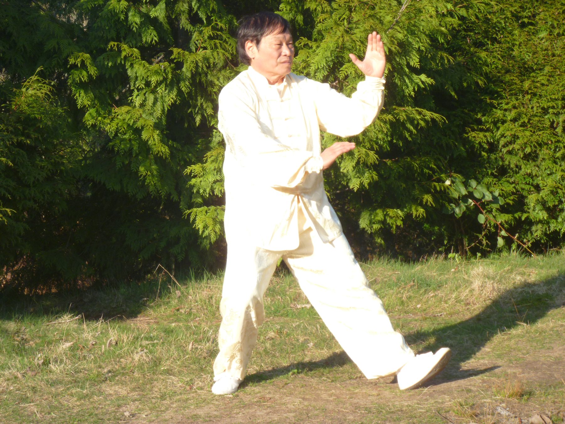 Pa kua Yang Palm