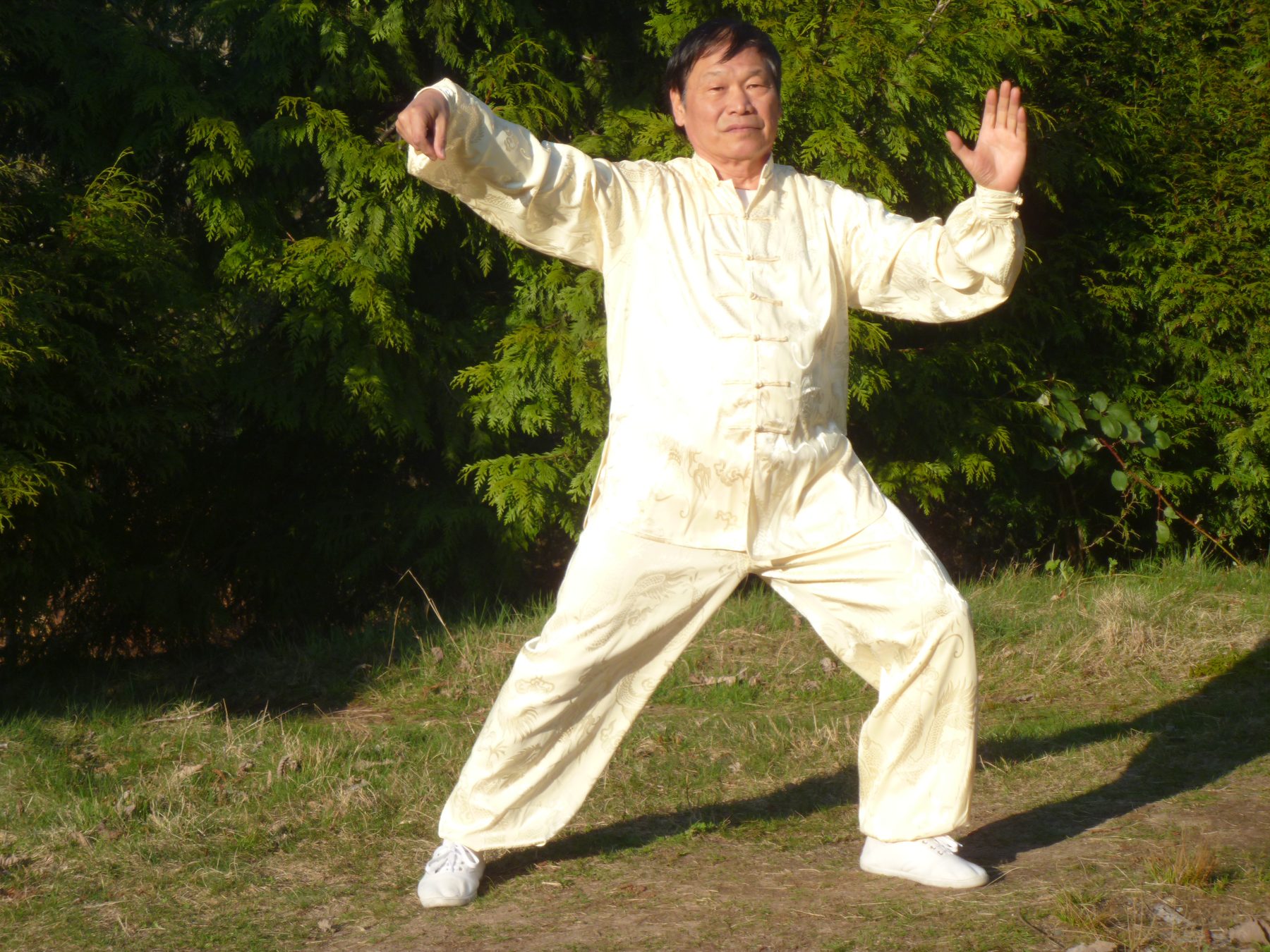 15 Tai chi Golden Form