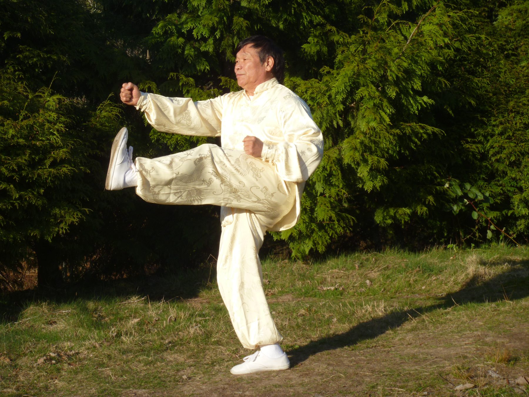 Hsing Yi form