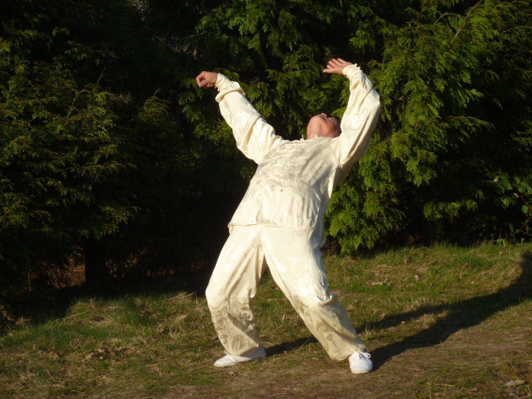Advanced Tai chi