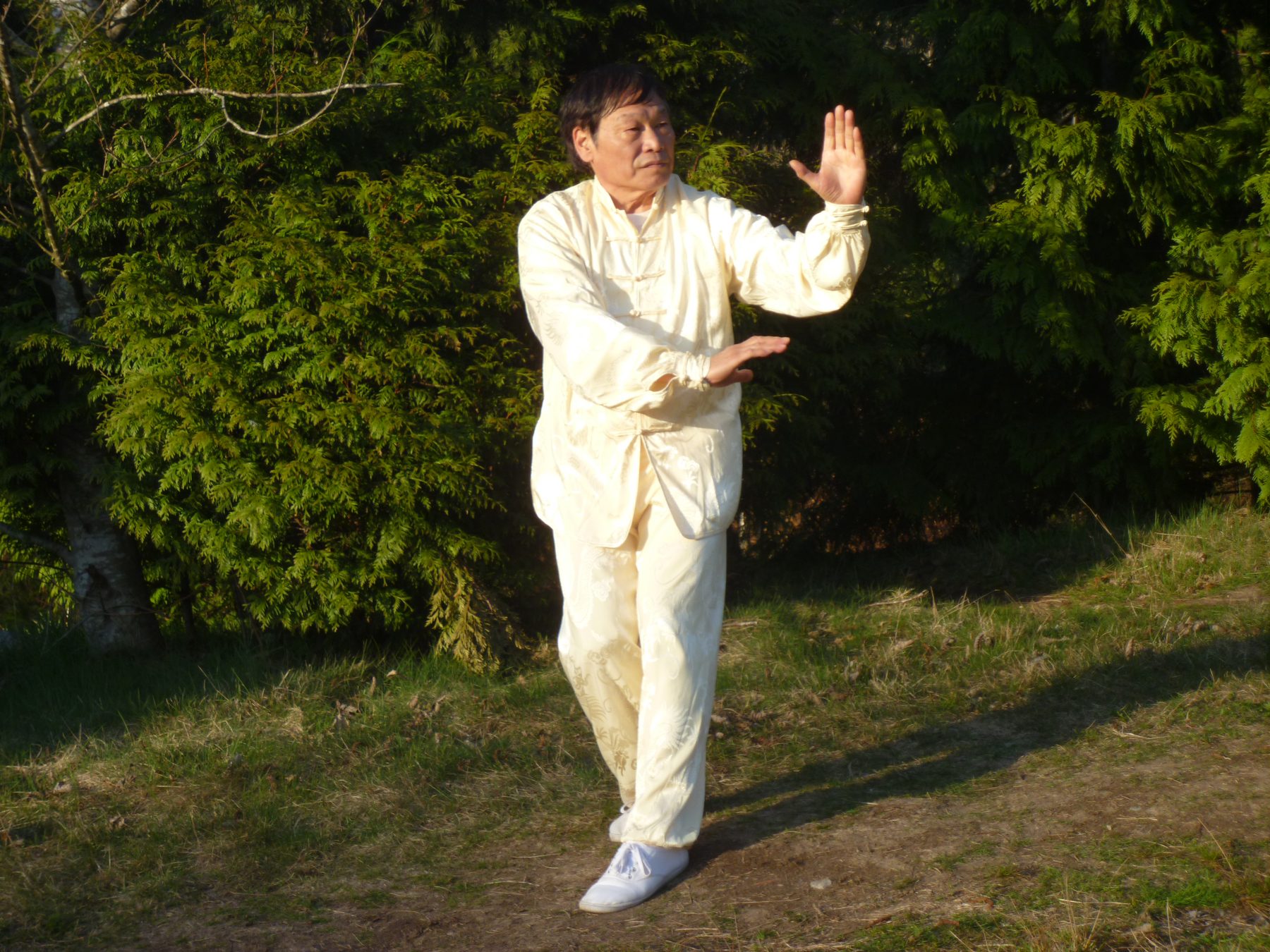 Pa kua Yin Palm